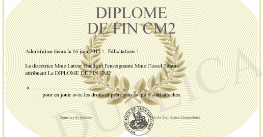 DIPLOME DE FIN CM2
