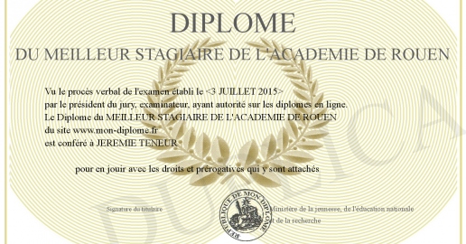 Diplome du MEILLEUR STAGIAIRE DE L ACADEMIE DE ROUEN