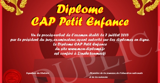 Diplome CAP Petit Enfance