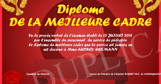 Diplome DE LA MEILLEURE CADRE