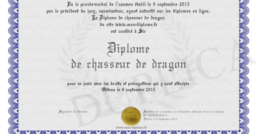 Diplome de chasseur de dragon