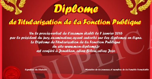 Diplome de Titularisation de la Fonction Publique