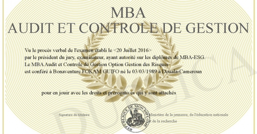 MBA Audit et Controle de Gestion