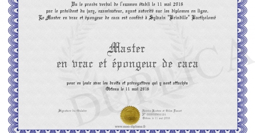 Caca Master Master en vrac et epongeur de caca
