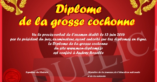 Diplome De La Grosse Cochonne 