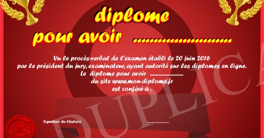 diplome pour avoir.....................