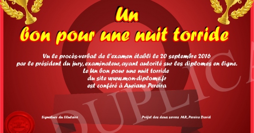 Un bon pour une nuit torride