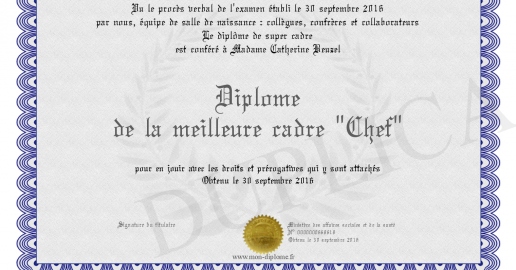 Diplome de la meilleure cadre -Chef-