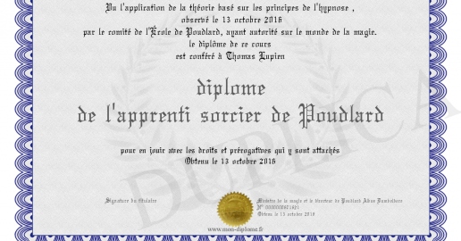diplome de l apprenti sorcier de Poudlard
