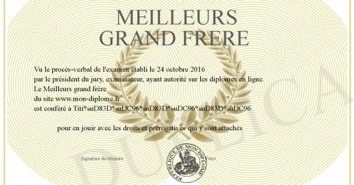Meilleurs grand frere