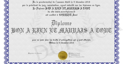 Plaque Murale Décorative – Citation « Mieux Vaut Être Bon À Rien Que Mauvais En Tout » – Modèle 1 – Neuve