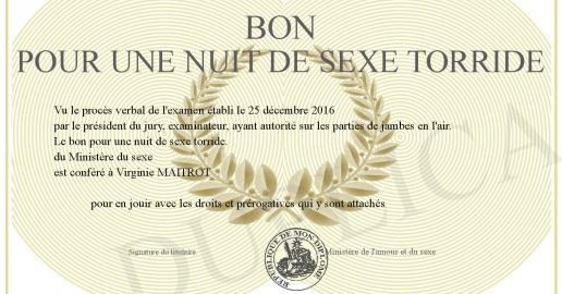 BON POUR UNE NUIT DE SEXE TORRIDE