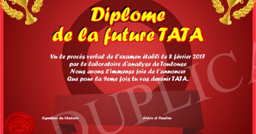 Diplome de la future TATA