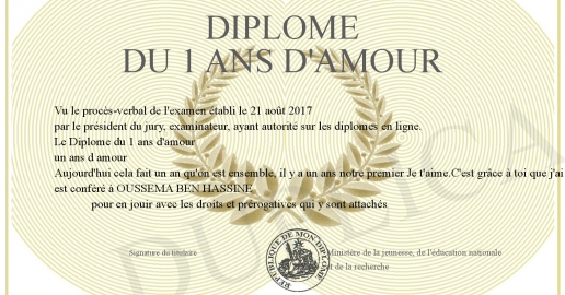 Diplome du 1 ans d amour