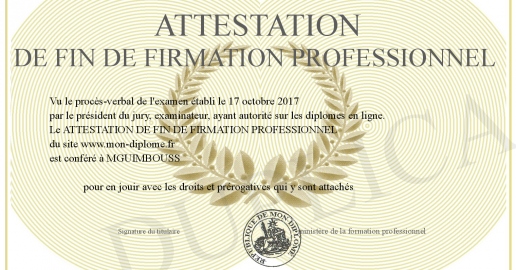 ATTESTATION DE FIN DE FIRMATION PROFESSIONNEL