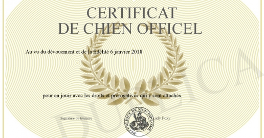 Certificat de Chien Officel