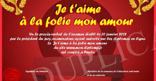 Je t aime a la folie mon amour