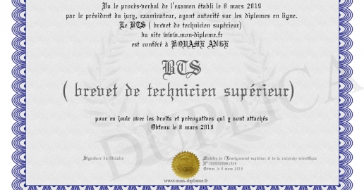 BTS ( brevet de technicien superieur)