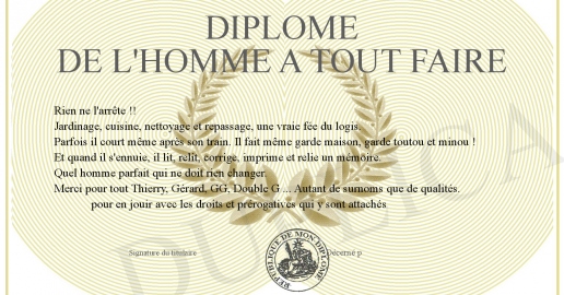Diplome de l homme a tout faire