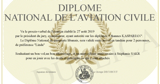 Médaille Aviation – Centre National De Carcassonne ENAC (École Nationale Aviation Civile) – Occasion