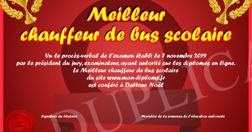 Meilleur chauffeur de bus scolaire