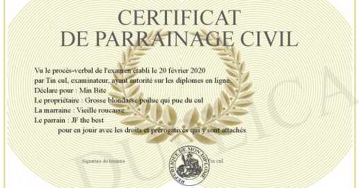 Certificat De Parrainage Civil Vierge à Imprimer Certificat de parrainage civil