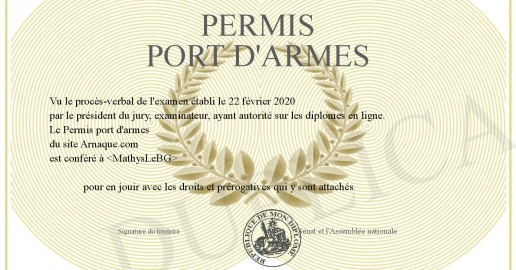 Permis port d armes
