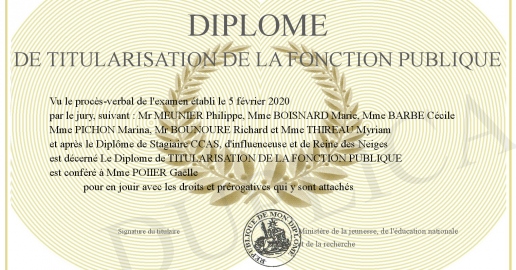 Diplome de TITULARISATION DE LA FONCTION PUBLIQUE