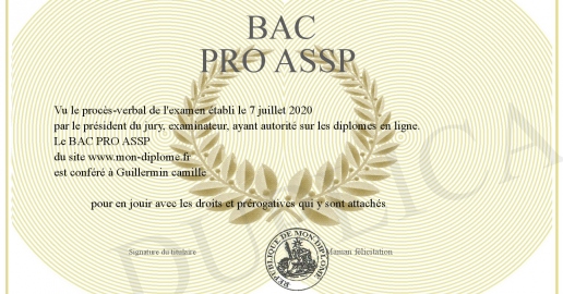 BAC PRO ASSP