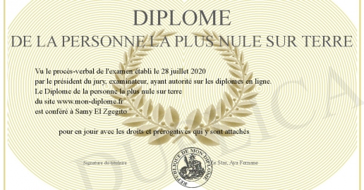 Nule Diplome de la personne la plus nule sur terre